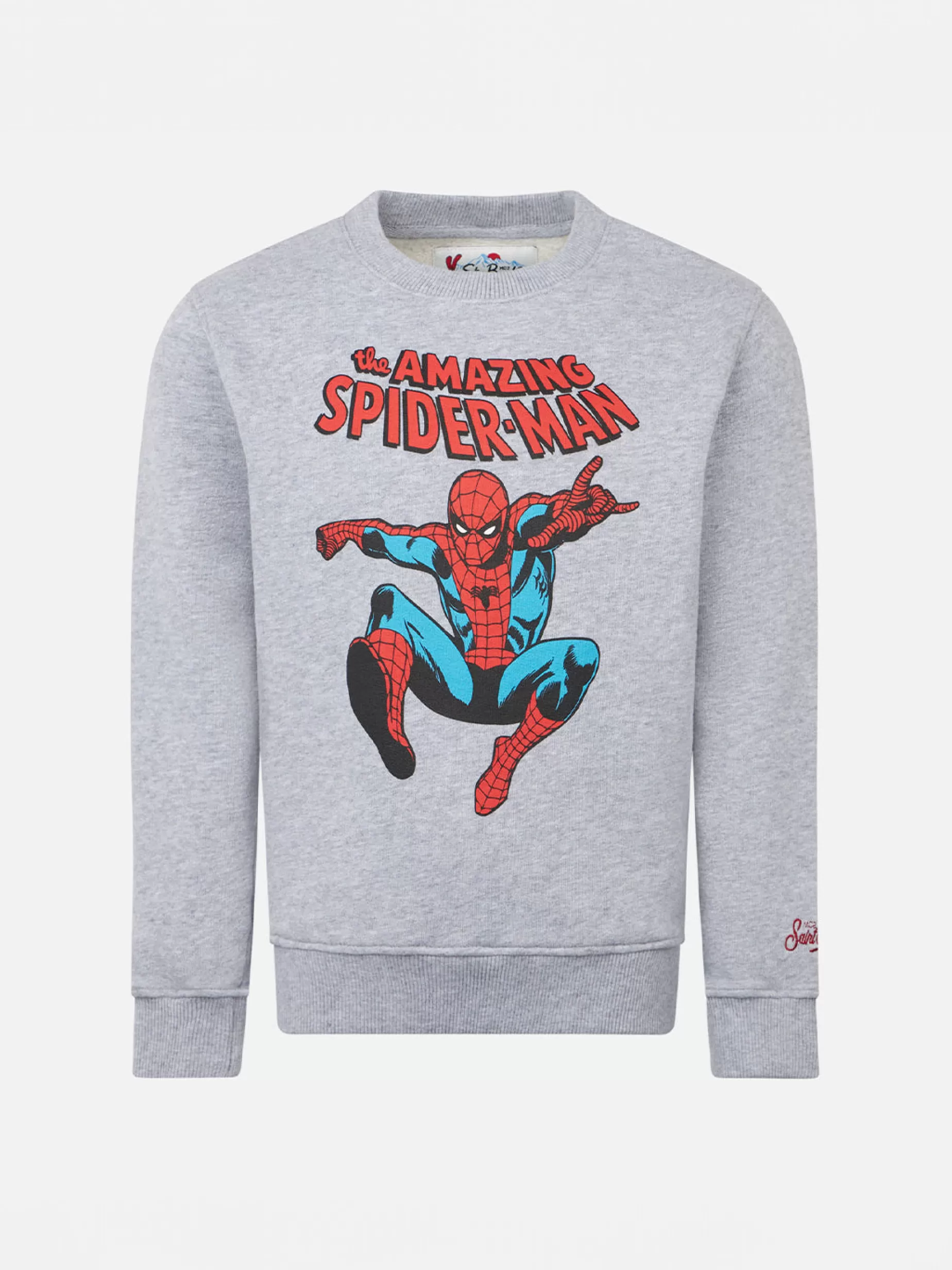 Fashion Felpa da bambino girocollo grigia con stampa Spiderman | EDIZIONE SPECIALE MARVEL Bambino Felpe