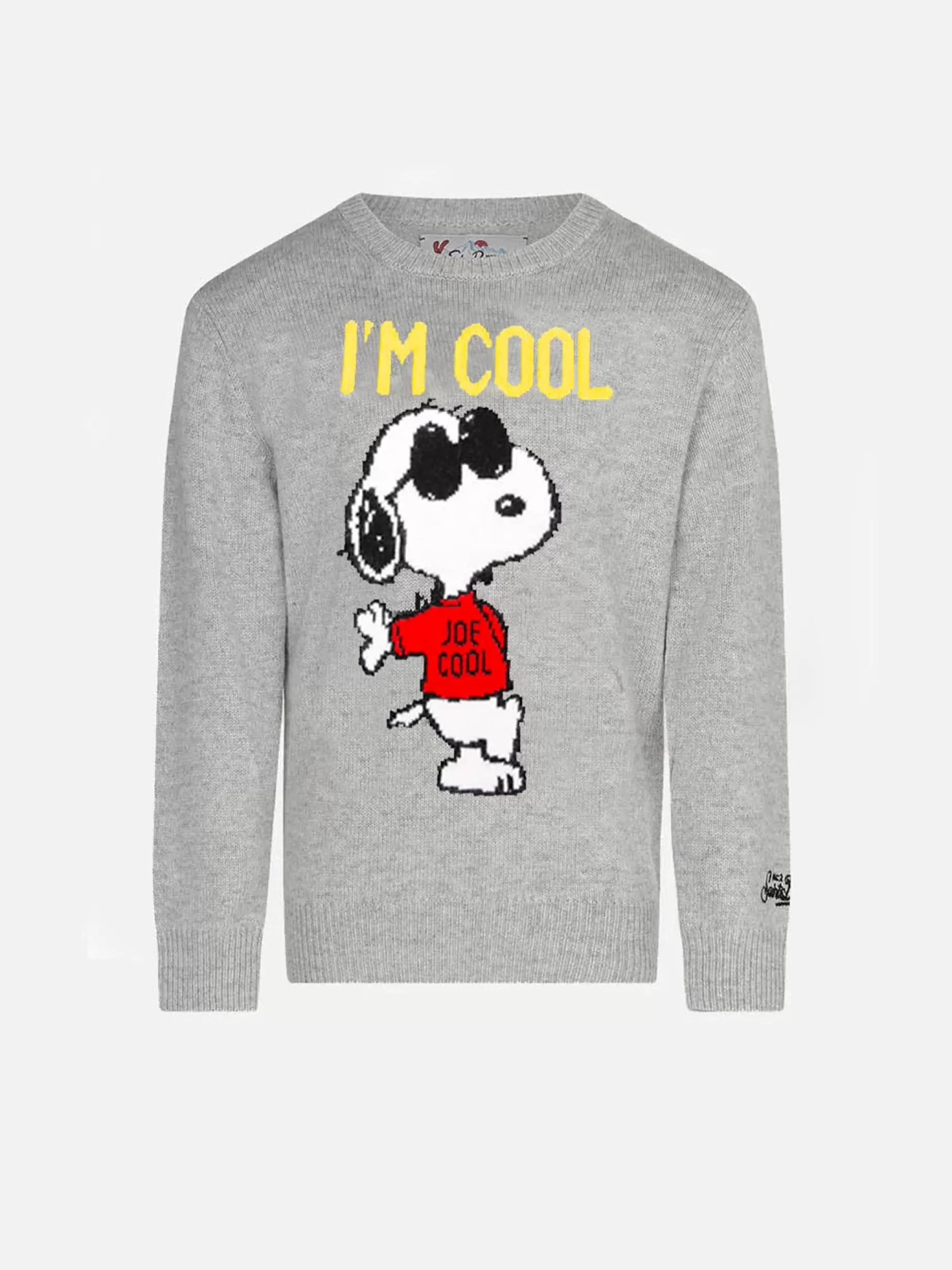 Sale Maglia da bambino grigia Snoopy Cool - Special Edition Bambino Maglieria