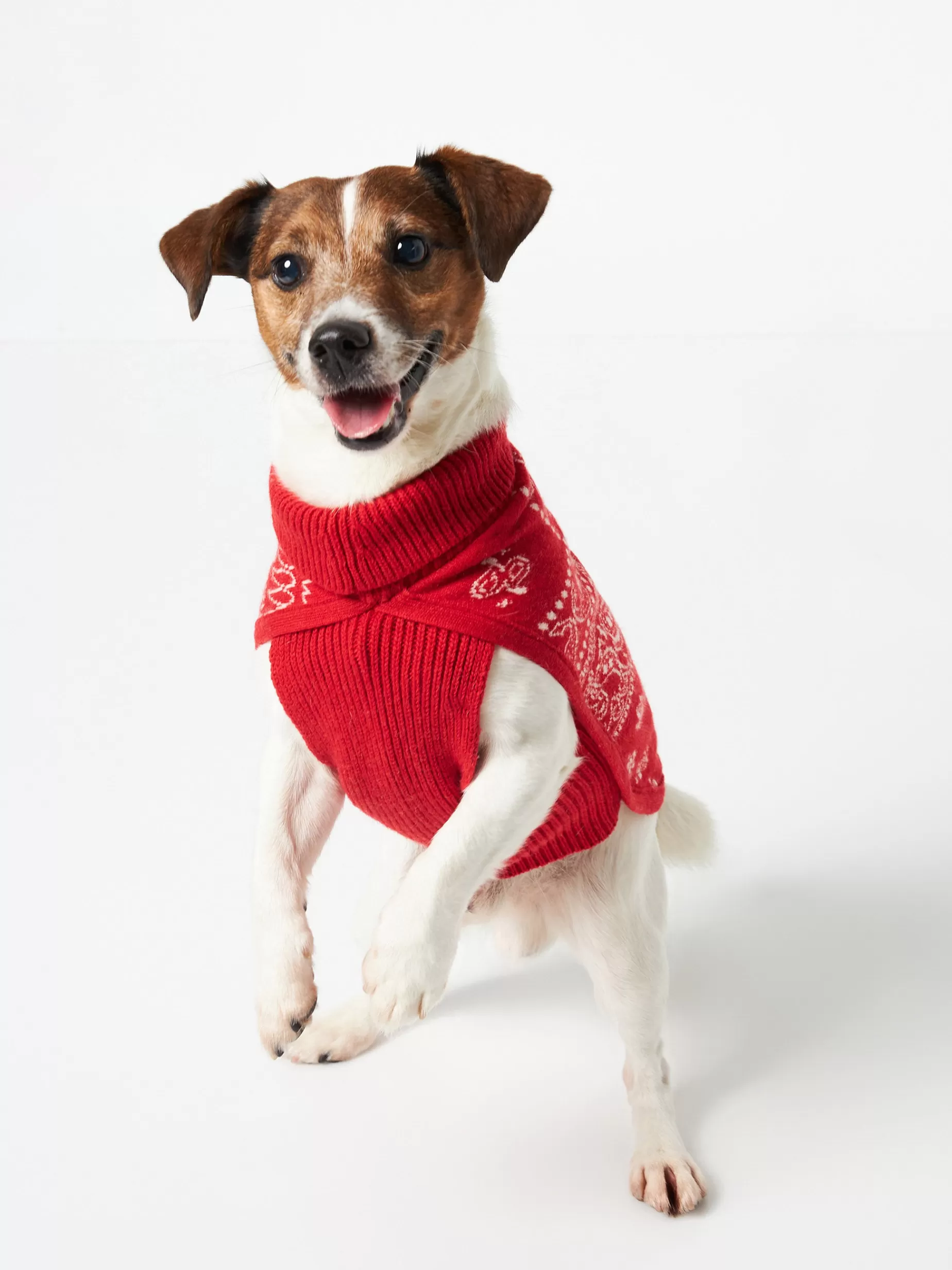 Discount Maglioncino per cani con stampa bandana Donna Maglieria Per Cani | Maglieria Per Cani