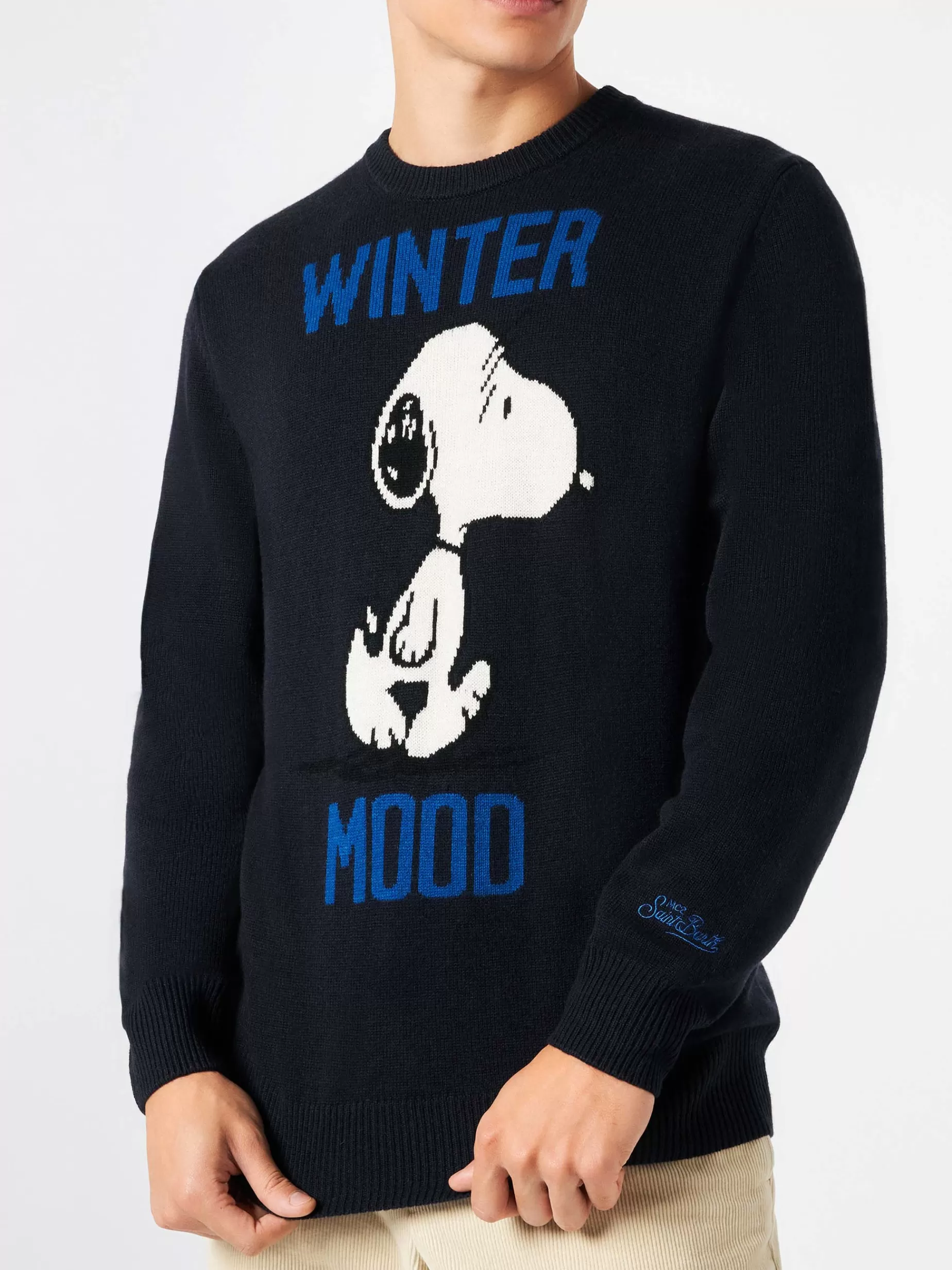 Sale Maglione da uomo blu stampa Winter Mood Snoopy | SNOOPY - EDIZIONE SPECIALE PEANUTS™ Uomo Maglieria | Maglieria